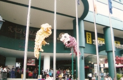 Performance at AmpWalk Complex